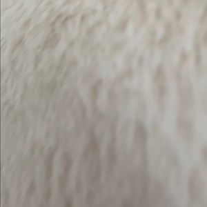 Meet your Posher, Isabella